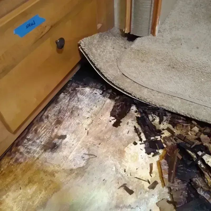 Wood Floor Water Damage in South Houston, TX